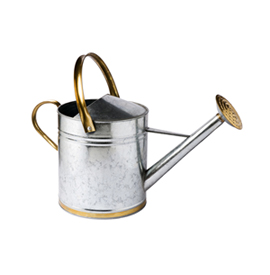 Awesome Product Image
