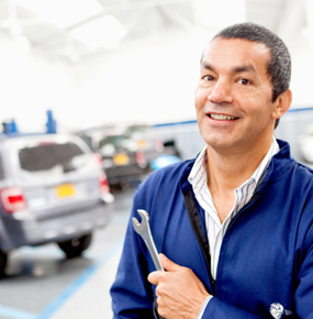 Awesome Gallery Image