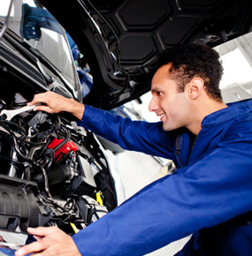 Awesome Gallery Image