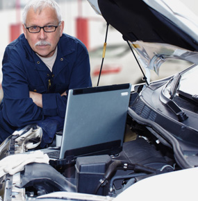 Awesome Gallery Image